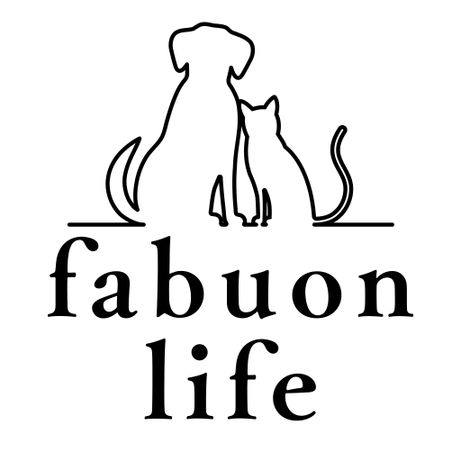 fabuon life